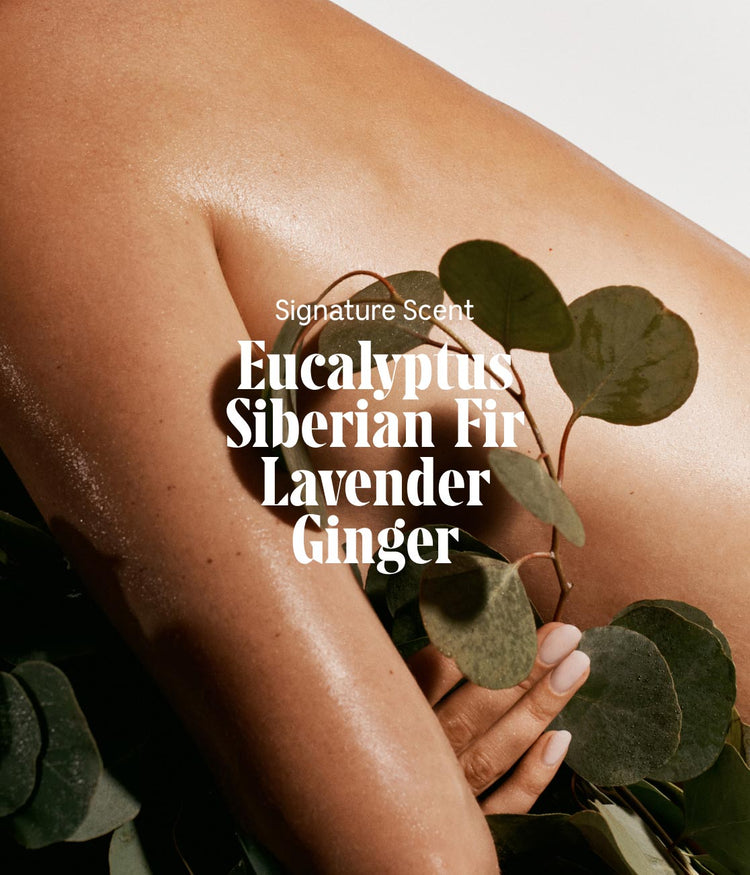 The Body Lotion Eucalyptus