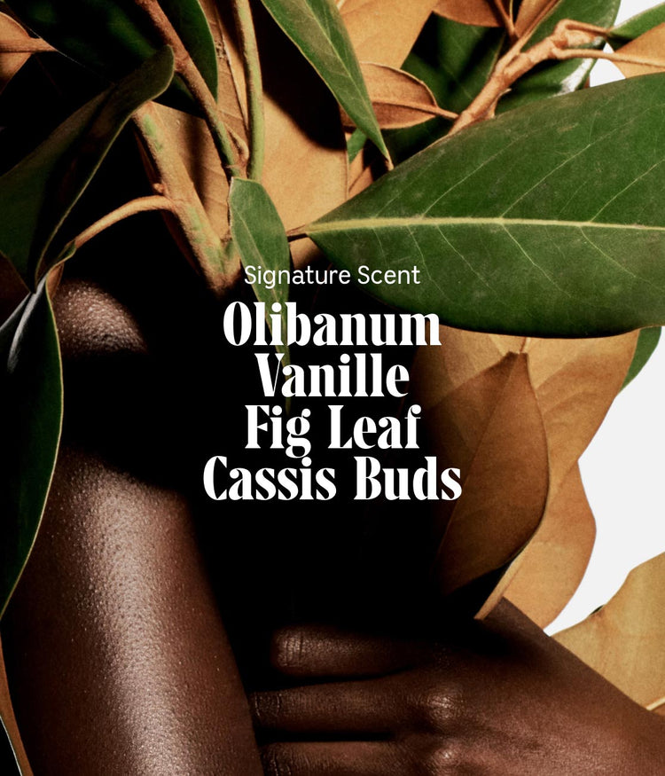 The Body Lotion Olibanum
