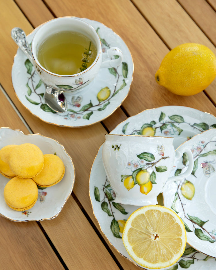 Tea Cup and Saucer in Limoeiro