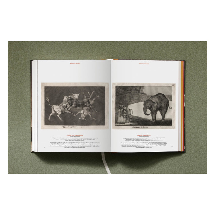 Goya: The Complete Prints