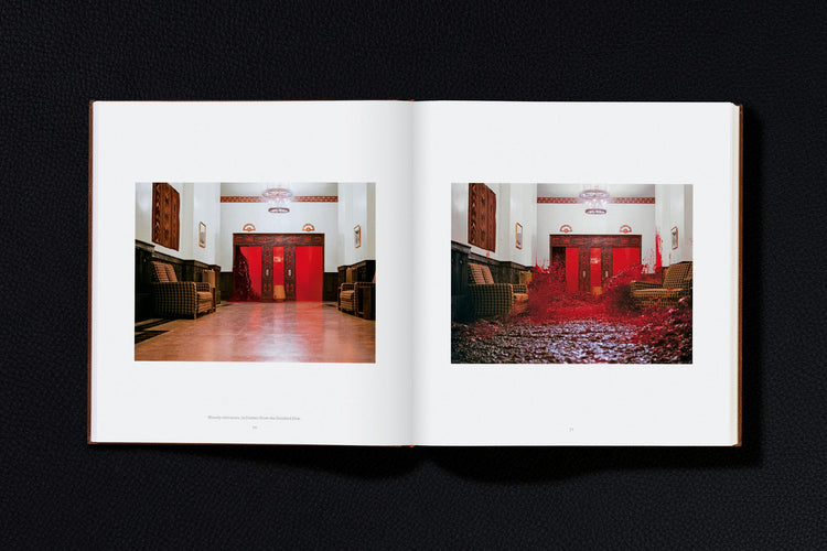 Stanley Kubrick’s The Shining, by Lee Unkrich and J. W. Rinzler