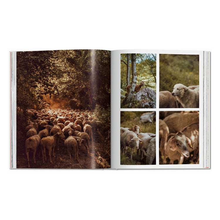 Remote Experiences: Extraordinary Travel Adventures from North to South