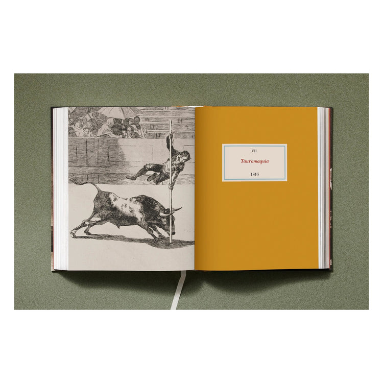 Goya: The Complete Prints