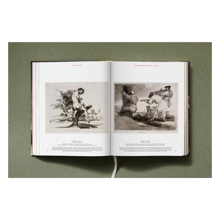 Goya: The Complete Prints