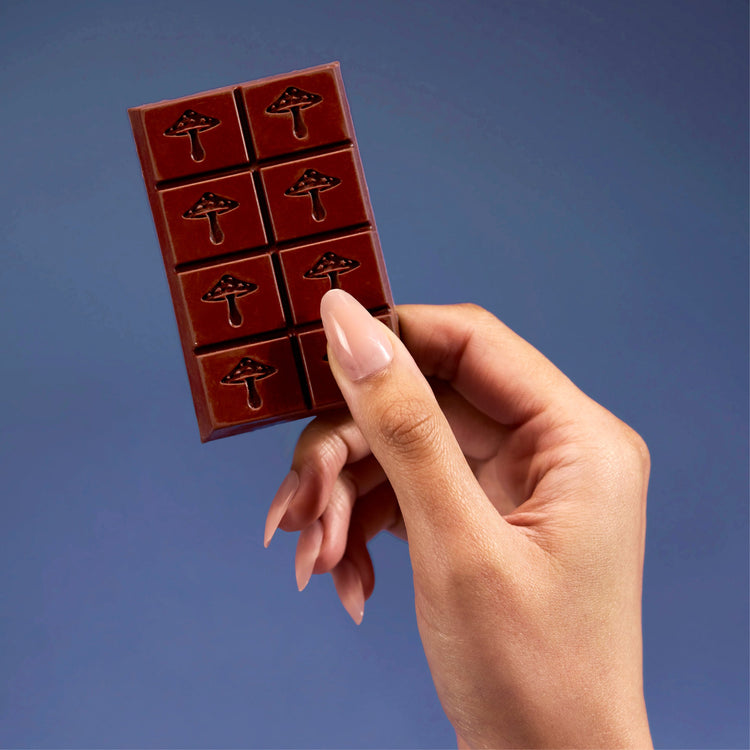 Zen-X Functional Mushroom Chocolates