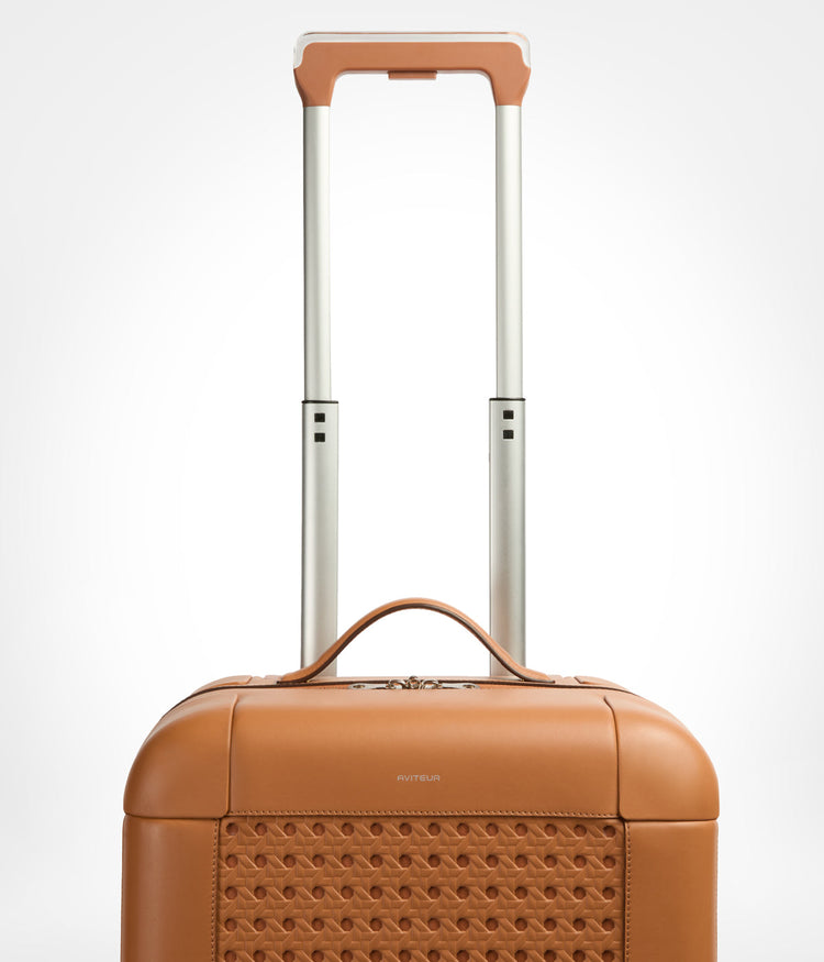 Carry-On 25 in Walnut