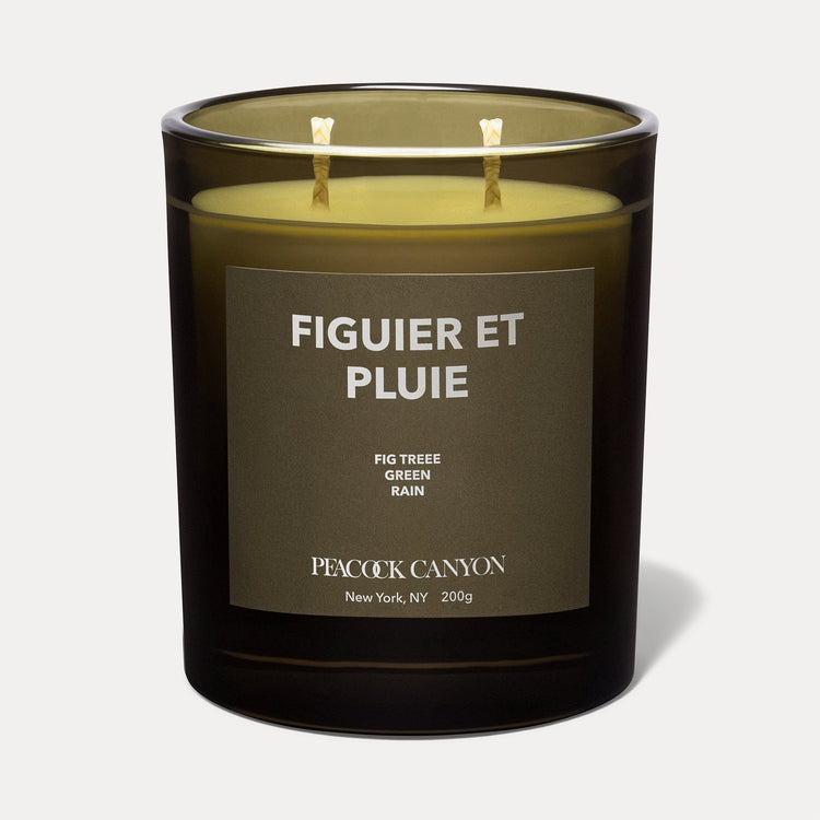 Figuier et Pluie Candle