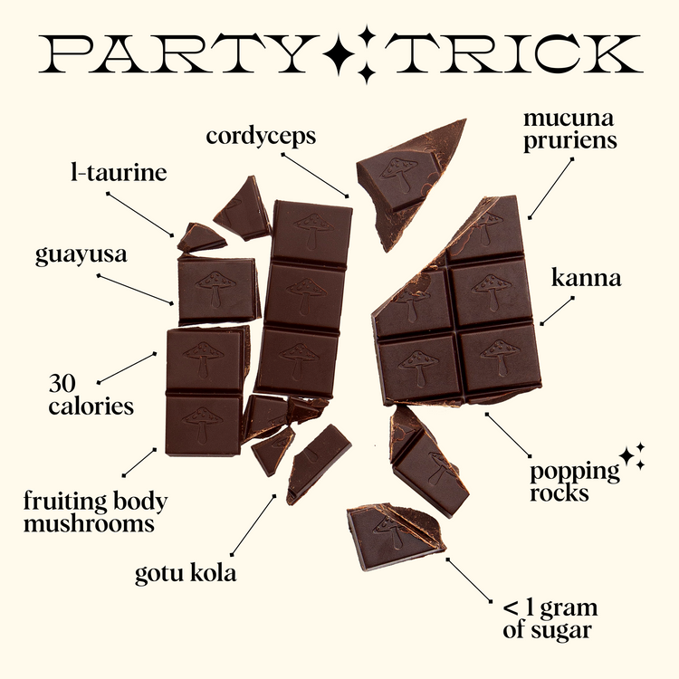 Party Trick Functional Mushroom Chocolates