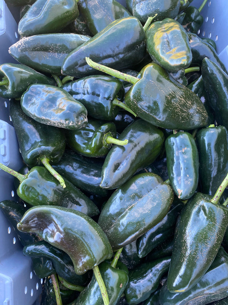 Salsa Roja
