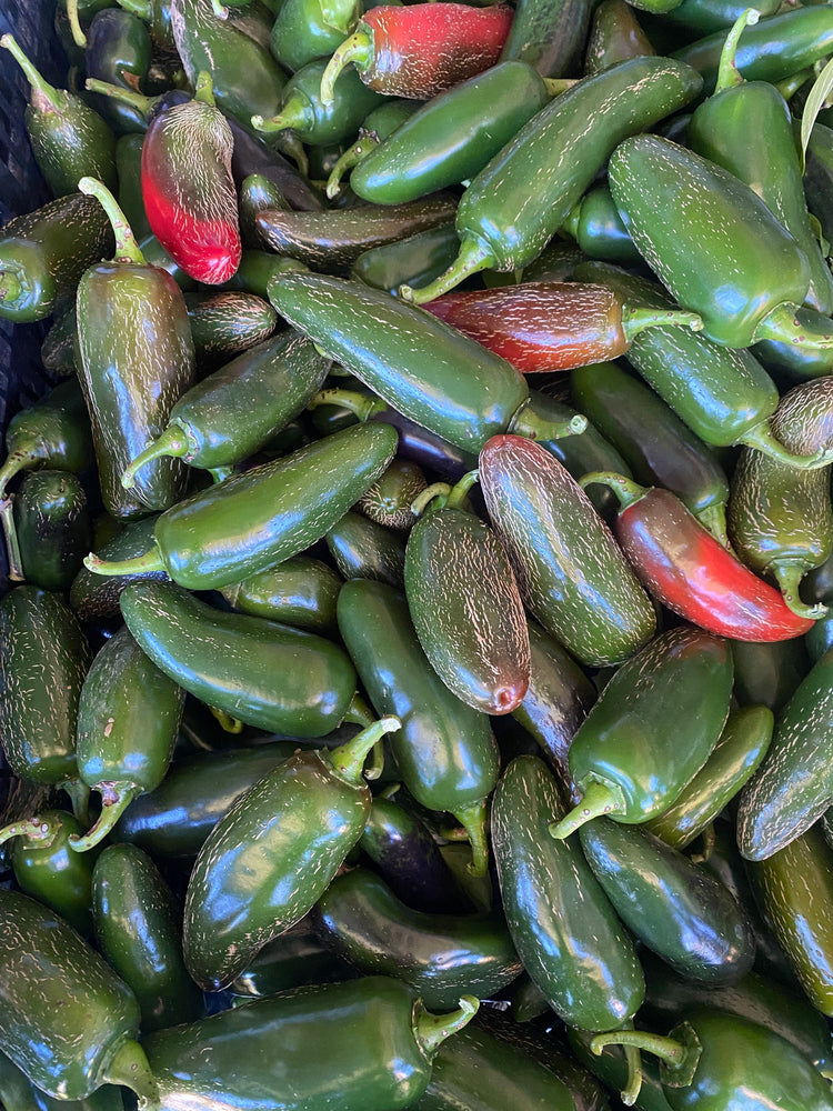 Salsa Roja