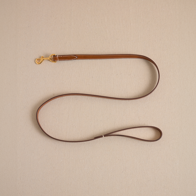 Pet Leash - 15 - Luggage