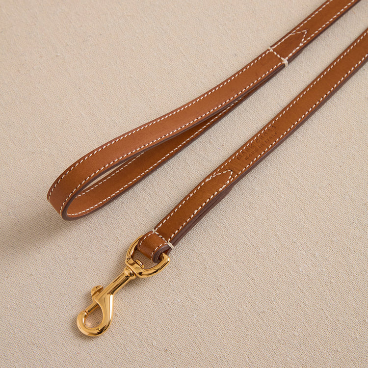 Pet Leash - 15 - Luggage