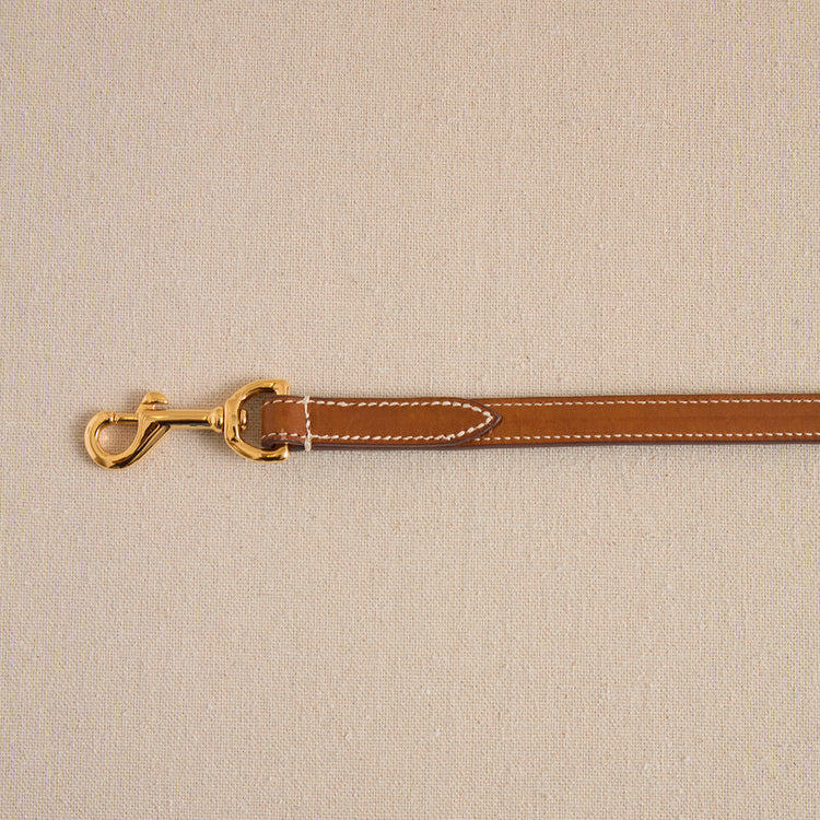 Pet Leash - 15 - Luggage