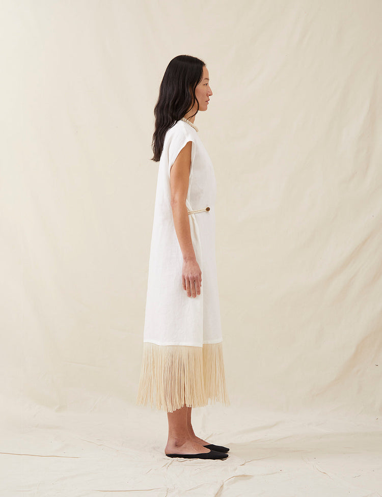 The Fringe Dress
