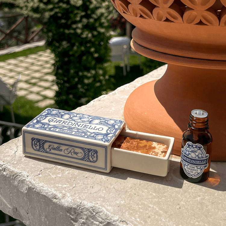 Pietrina Home Fragrance Diffuser Set