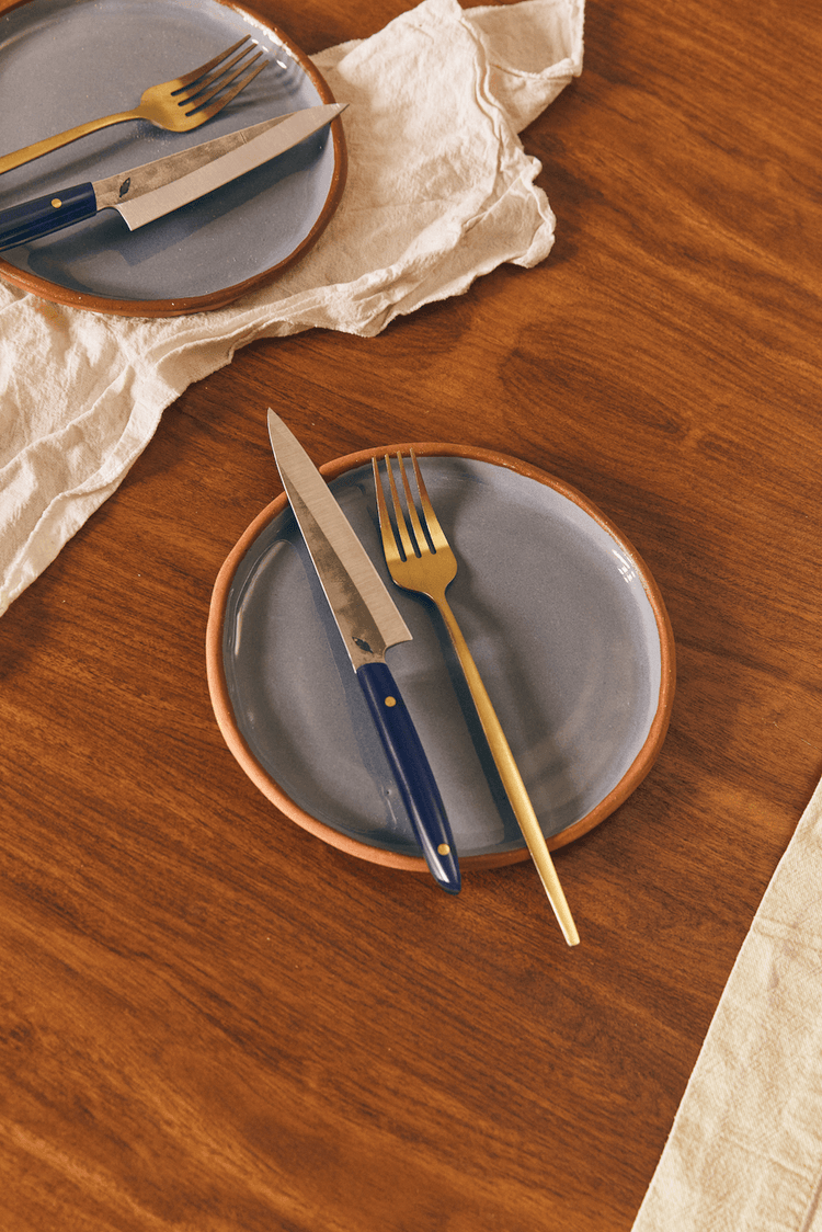 Table Knife Set in Blue