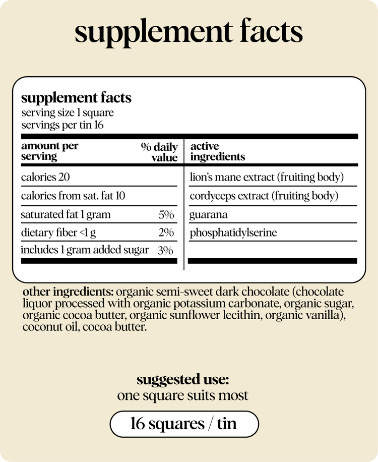 Brainstorm Functional Mushroom Chocolates