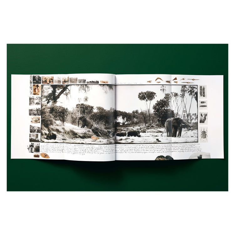 Peter Beard