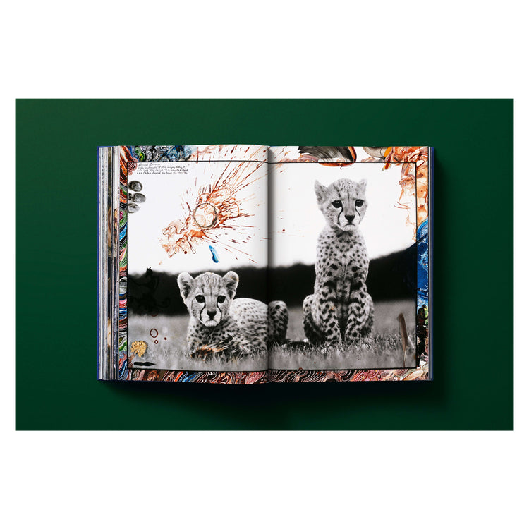 Peter Beard