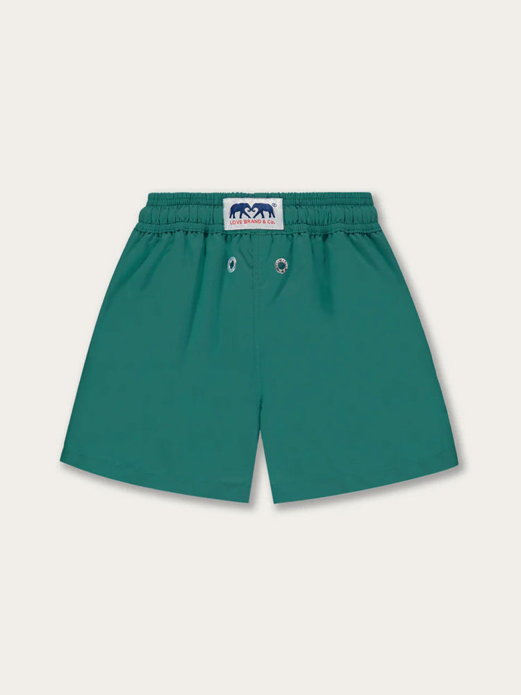 Boys’ Palm Green Staniel Swim Shorts