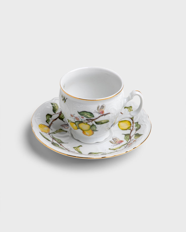Tea Cup and Saucer in Limoeiro