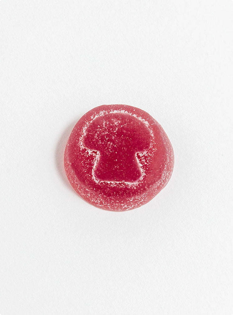 Reishi Mushroom Gummies