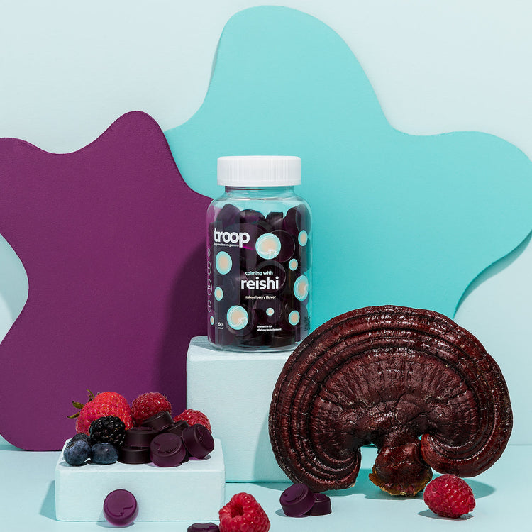 Reishi Mushroom Gummies