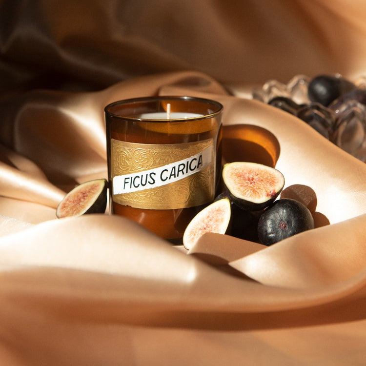 Ficus Carica Candle
