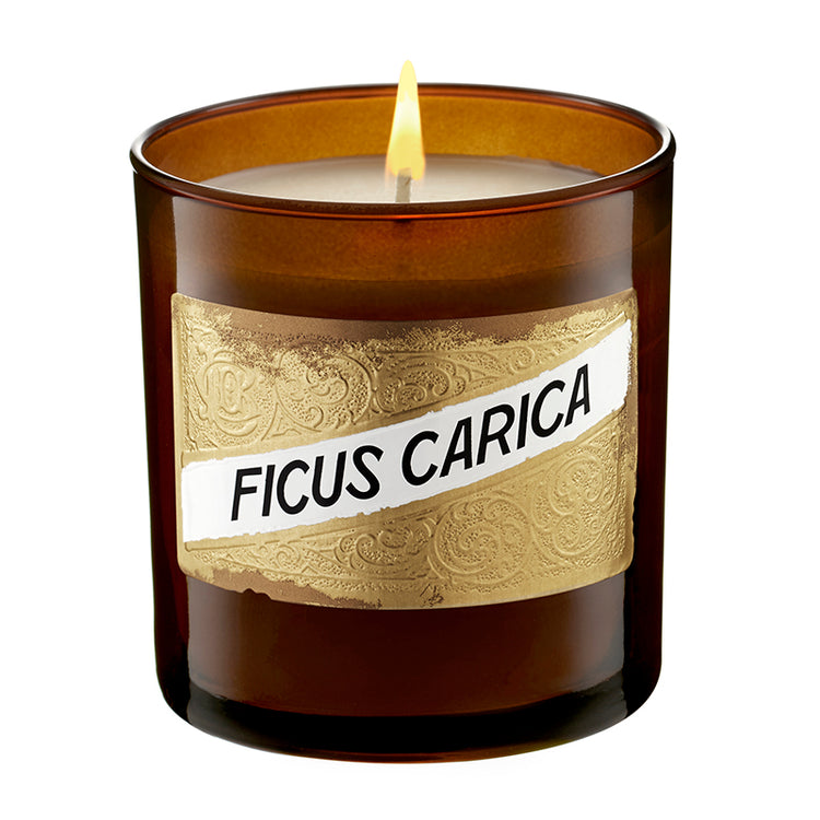 Ficus Carica Candle