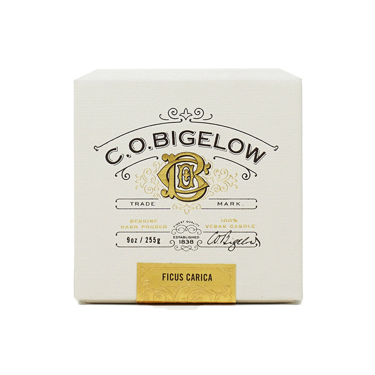 Ficus Carica Candle