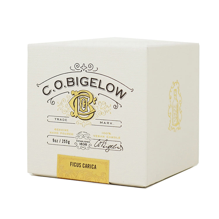 Ficus Carica Candle