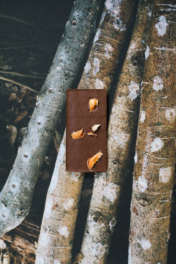 Mycelium Edition: Mycology; Brain Chocolate Bar