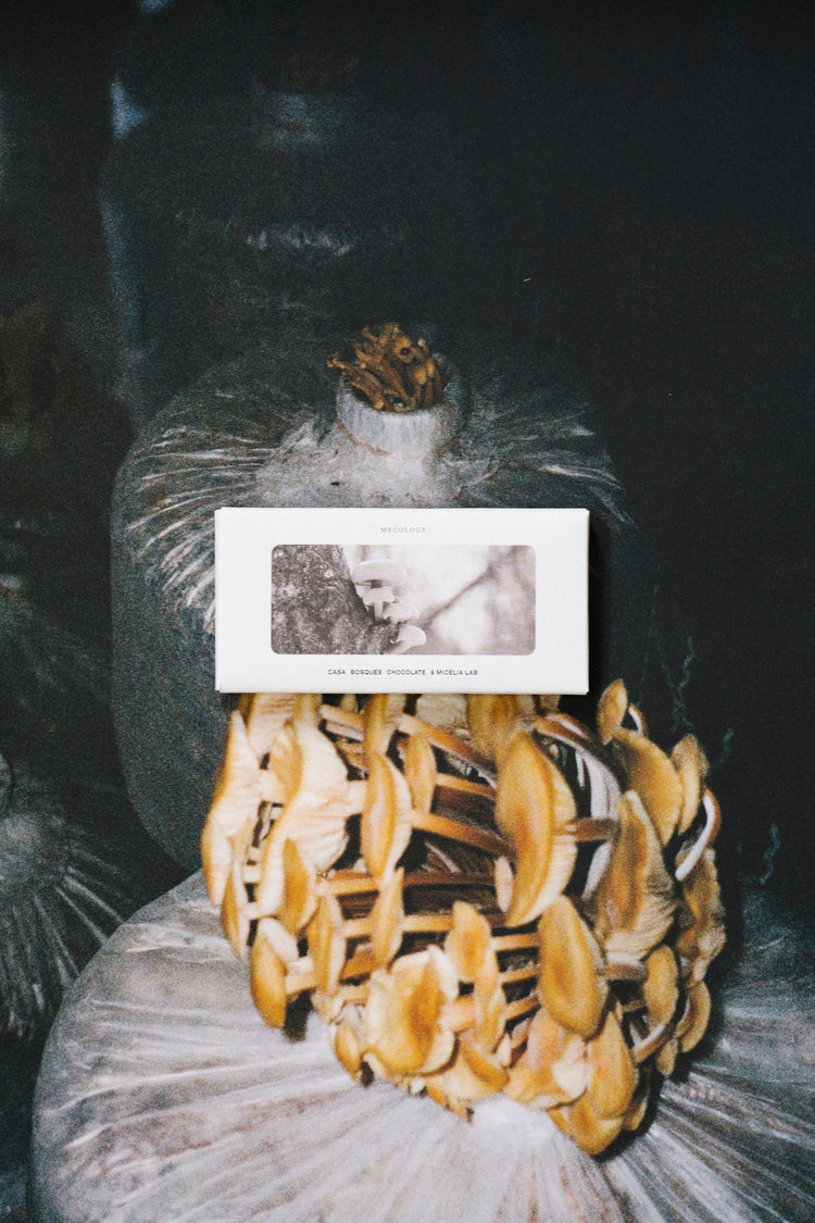 Mycelium Edition: Mycology Chocolate Bar