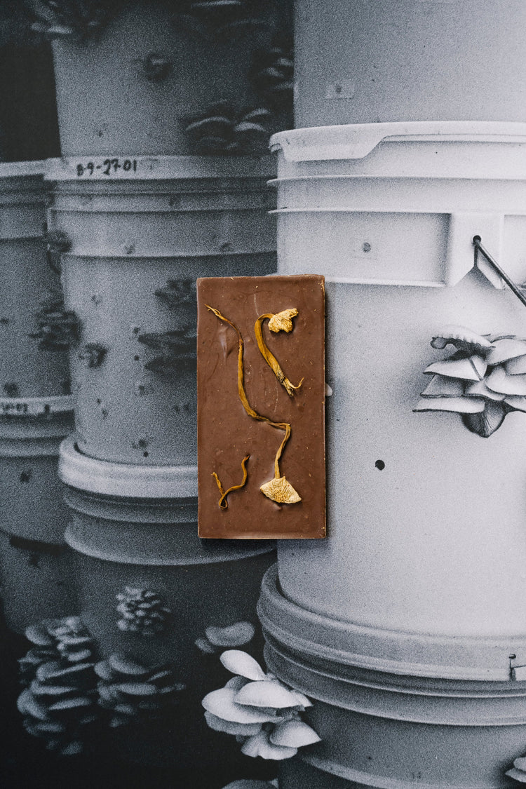 Mycelium Edition: Balance and Immunity Chocolate Bar