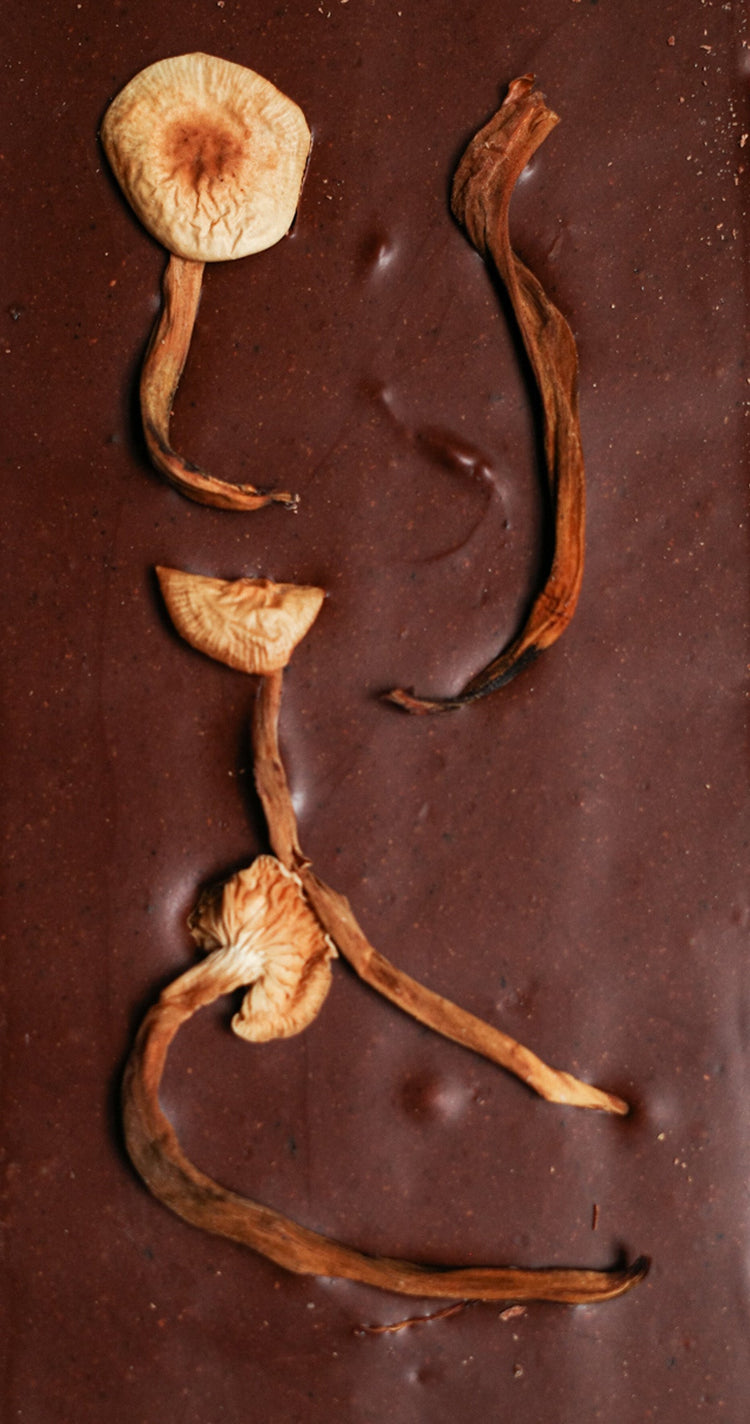 Mycelium Edition: Balance and Immunity Chocolate Bar