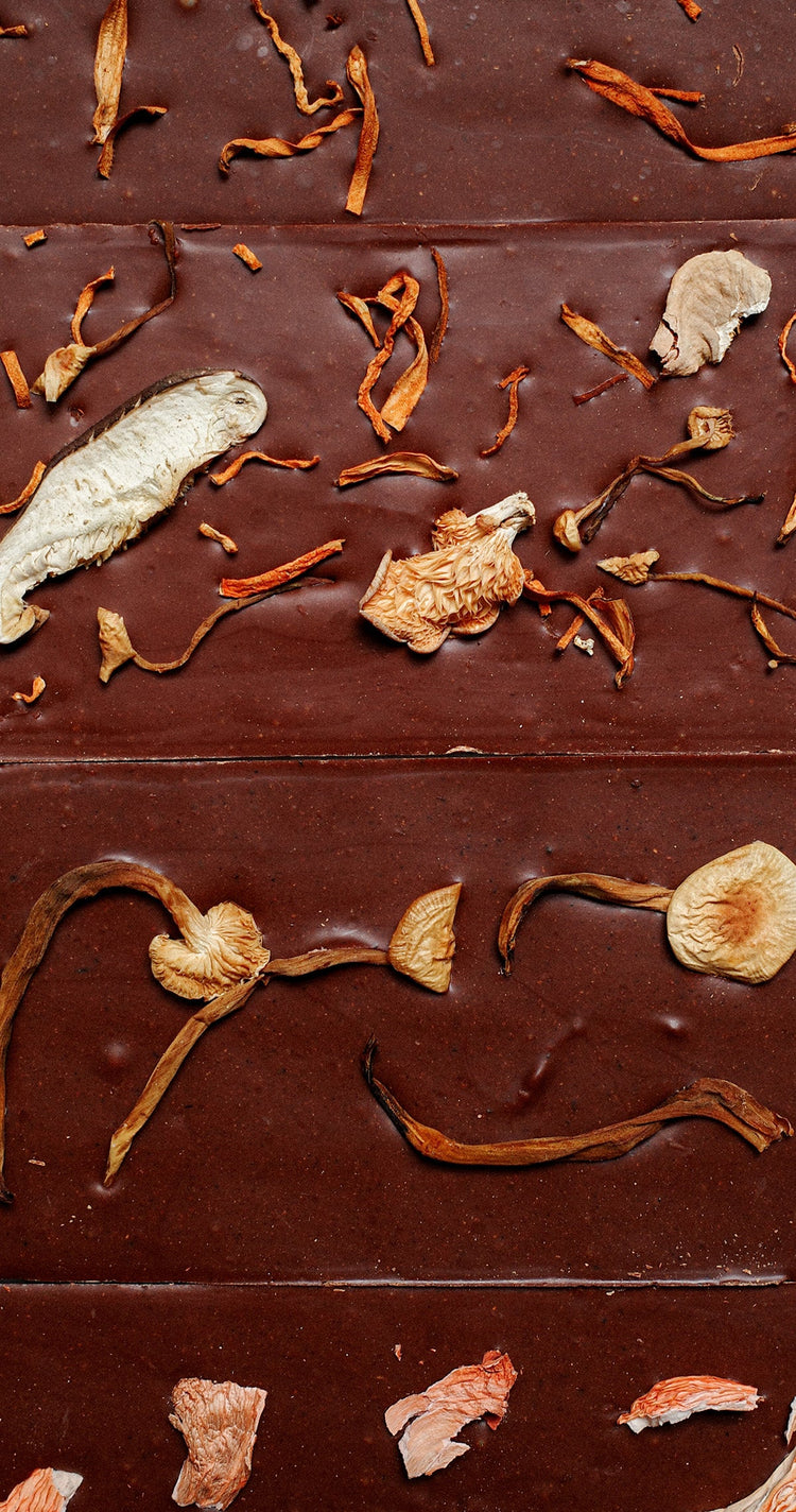 Mycelium Edition: Mycology Chocolate Bar