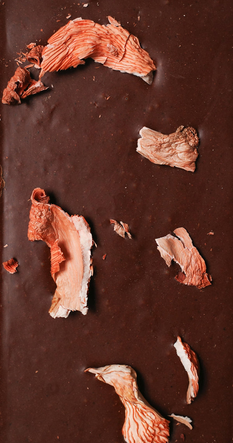 Mycelium Edition: Mycology; Brain Chocolate Bar