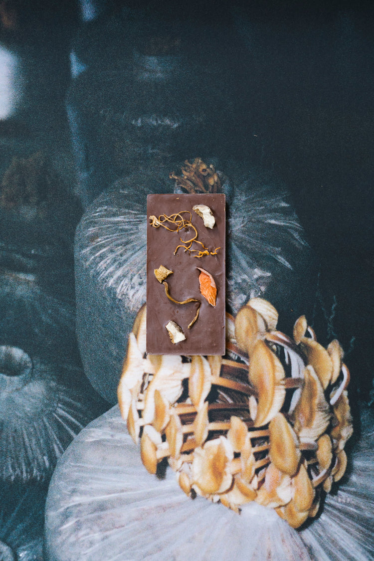 Mycelium Edition: Mycology Chocolate Bar