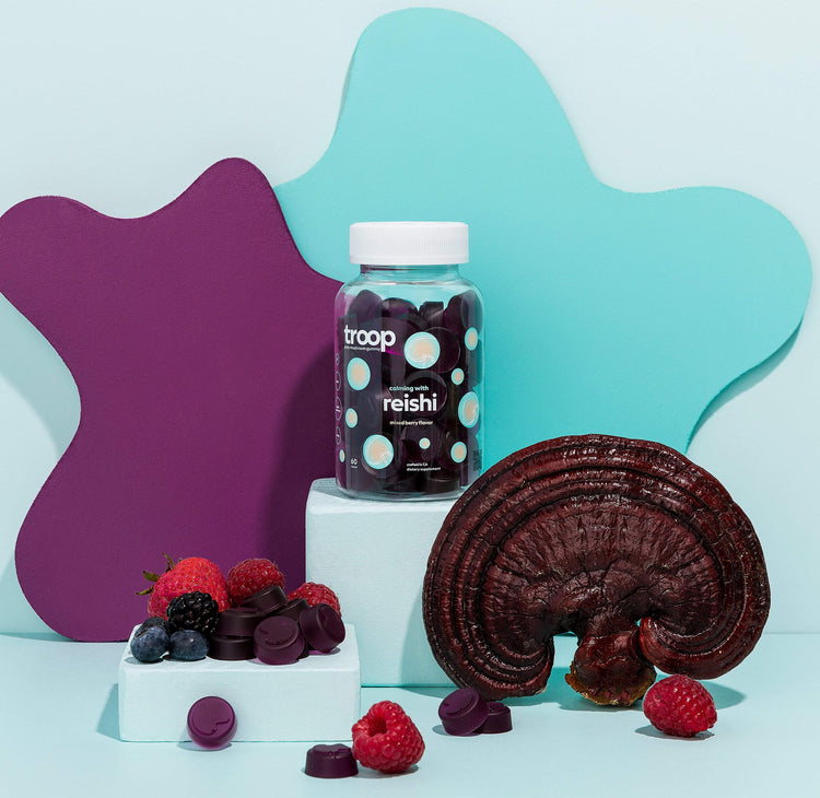 Reishi Mushroom Gummies