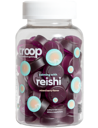 Reishi Mushroom Gummies