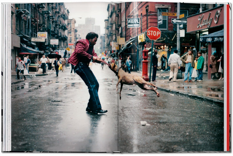 New York: Portrait of a City, by Reuel Golden