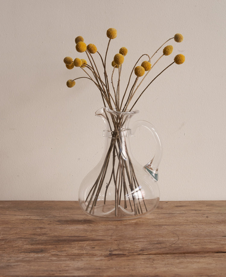 Pienza Pitcher