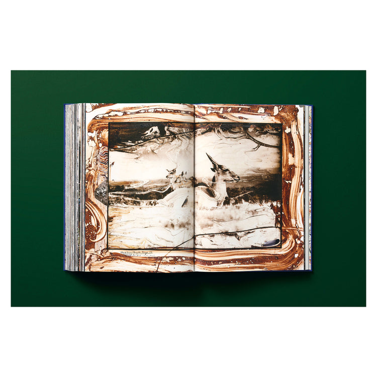 Peter Beard