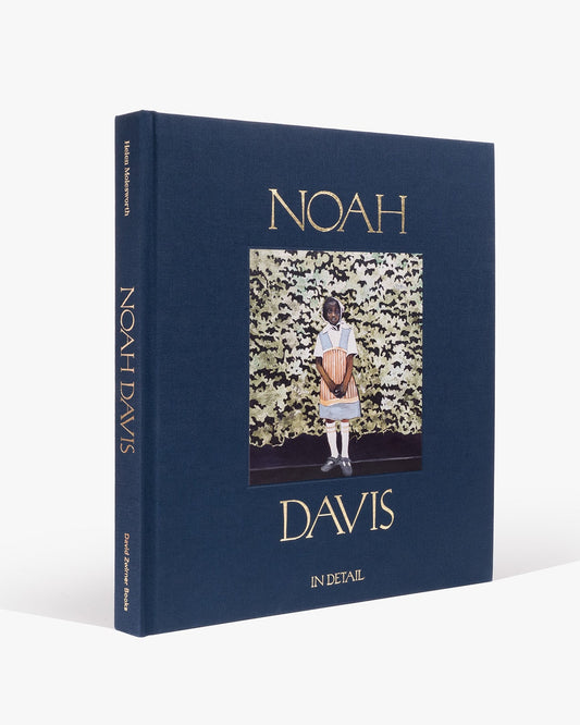Noah Davis: In Detail