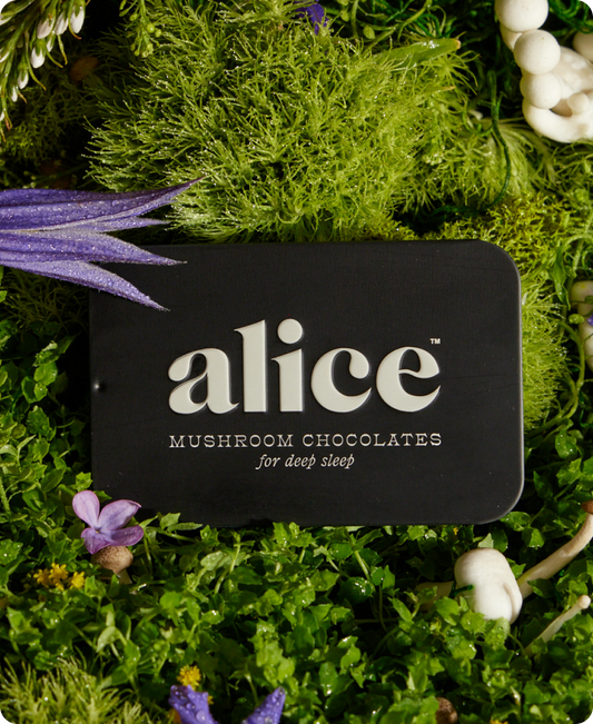 Nightcap Mushroom Chocolates
