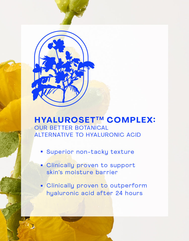 Daily Essentials Regimen Bundle