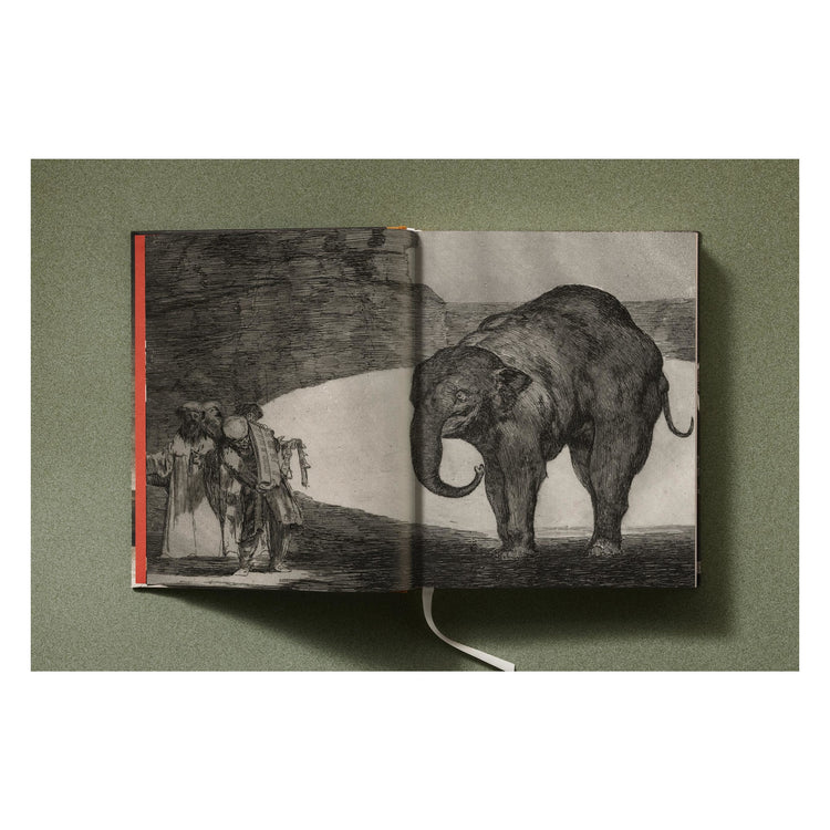 Goya: The Complete Prints