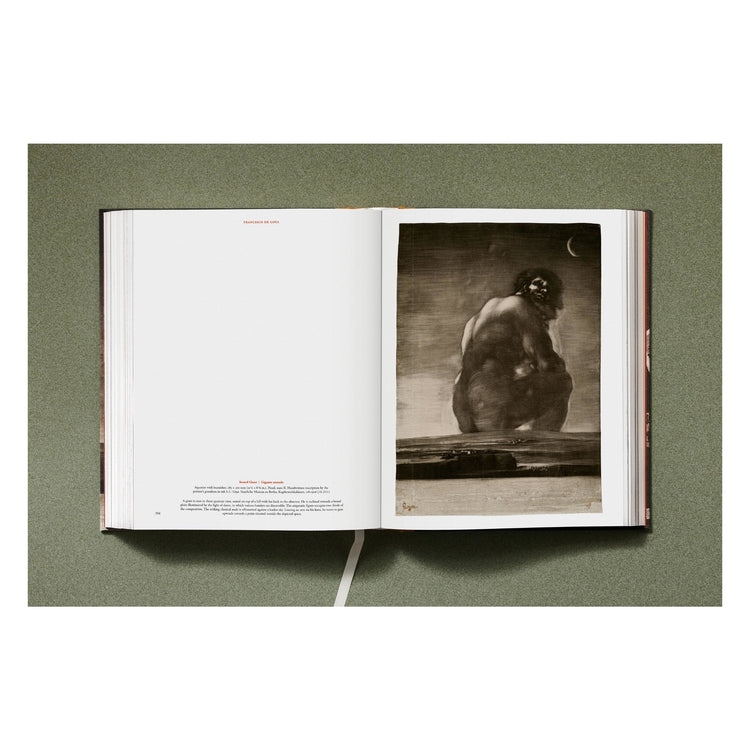 Goya: The Complete Prints
