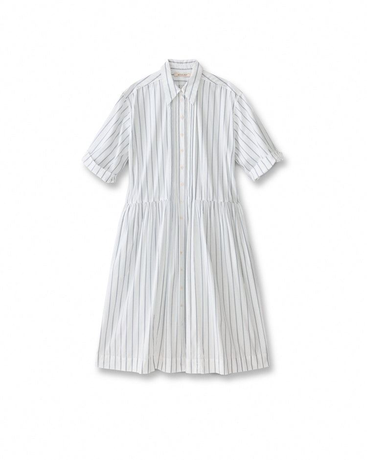 The Shirt Dress