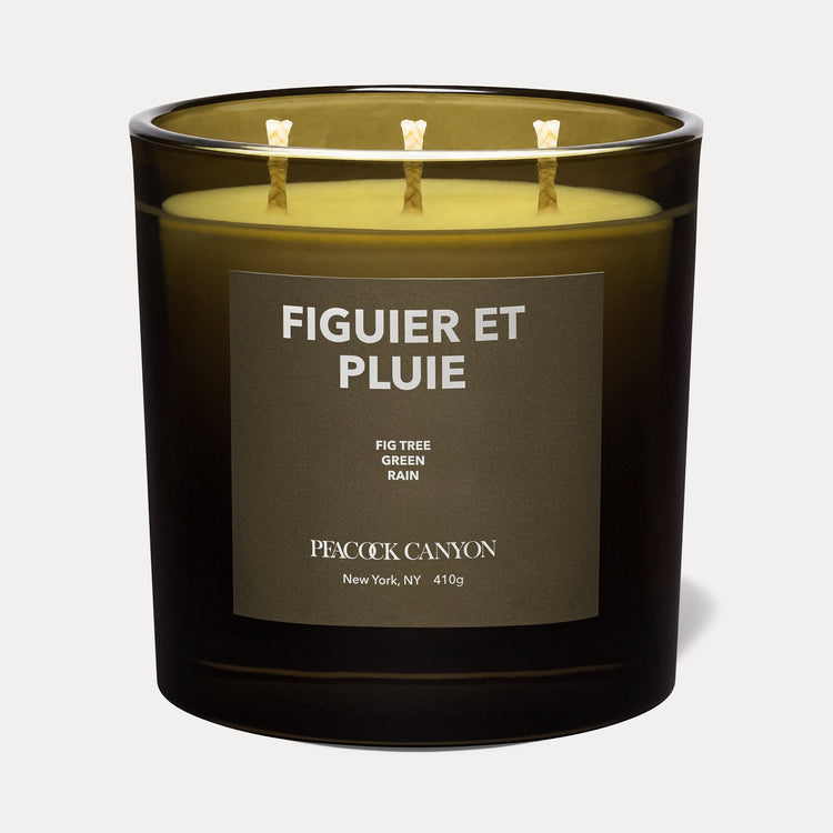Figuier et Pluie XL Candle